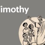 Witness21 Editor  2016 11 26