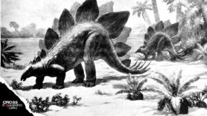 What about the Dinosaurs? - Q&A Sessions, Truth Seekers - Cross Examined
