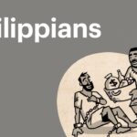 Witness21 Editor  2016 11 15