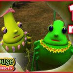 Miss Spider: Night And Day – Ep.43A | HD Cartoons - Kids TV Series, Kingdom Kids Zone - Treehouse Direct