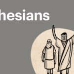 Witness21 Editor  2016 11 10