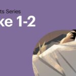 Witness21 Editor  2016 12 22