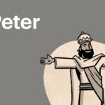 Witness21 Editor  2016 12 10