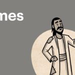 Witness21 Editor  2016 12 06