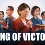 Witness21 Editor  2016 12 27