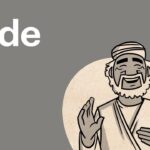 Witness21 Editor  2016 12 14