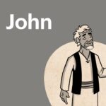 Witness21 Editor  2016 12 11