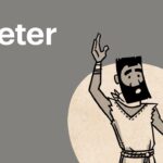 Witness21 Editor  2016 12 07