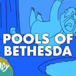 Witness21 Editor  2017 01 31