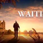 Witness21 Editor  2017 01 01