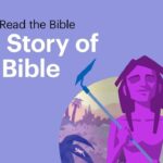 Witness21 Editor  2017 05 11