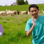 Witness21 Editor  2017 05 09