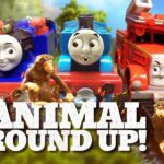 Thomas & Friends: Belle and Flynn's Amazing Animal Roundup! | TCC | Thomas & Friends - Kids TV Series, Kingdom Kids Zone - Thomas & Friends
