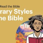 Witness21 Editor  2017 06 22