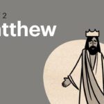 Witness21 Editor  2017 06 20