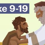 Witness21 Editor  2017 07 06