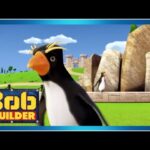 Bob the Builder – Pick Up a Penguin | Season 19 Episode 17 - Kids (0-4), Kingdom Kids Zone - Bob the Builder