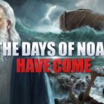 Witness21 Editor  2017 07 05