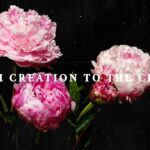 Witness21  2017 09 29