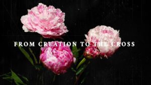 Witness21  2017 09 29