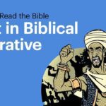 Witness21 Editor  2017 09 28