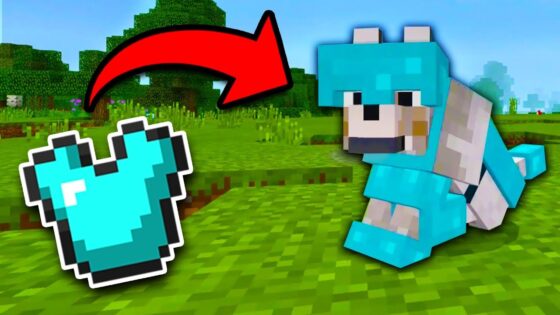 How to get WOLF ARMOR in Minecraft Tutorial! (Pocket Edition, Xbox, Addon) - Gameplay, Kingdom Kids Zone, Minecraft - EYstreem