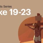 Witness21 Editor  2017 09 14