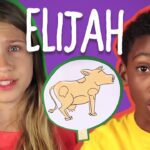 Witness21 Editor  2017 10 05