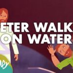 Witness21 Editor  2017 10 05