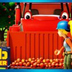 Bob the Builder full episodes | Apples Everywhere ⭐ NEW Season 20 Compilation ⭐ Cartoon for Kids - Kids (0-4), Kingdom Kids Zone - Bob the Builder