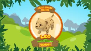 Witness21 Editor  2017 11 27