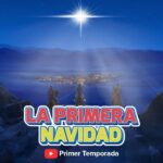 Witness21 Editor  2017 11 29