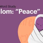 Witness21 Editor  2017 11 30