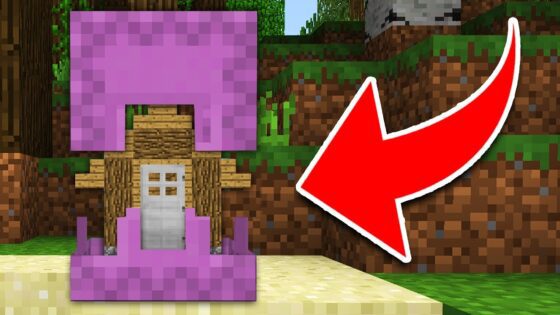 How to Live Inside a SHULKER in Minecraft Tutorial! (Pocket Edition, PS4/3, Xbox, Switch) - Gameplay, Kingdom Kids Zone, Minecraft - EYstreem