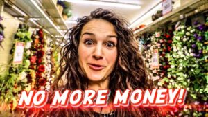 Young woman in a flower shop with a surprised expression and bold 'NO MORE MONEY!' caption across the bottom.