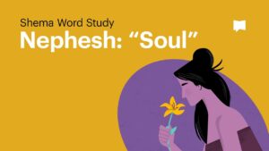When the Bible Says “Soul,” What Is It Talking About? - Bible Study, Movies & TV - BibleProject