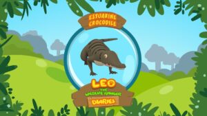 Witness21 Editor  2017 11 17