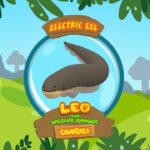 Witness21 Editor  2017 12 04