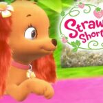 Strawberry Shortcake 🍓 To Fetch or Not To Fetch 🍓 Berry Bitty Adventures | Videos For Kids - Kids TV Series, Kingdom Kids Zone - Strawberry Shortcake - WildBrain