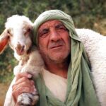 Shepherds in the Fields near Bethlehem - Documentaries, Movies & TV - Drive Thru History with Dave Stotts