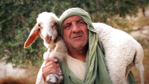 Shepherds in the Fields near Bethlehem - Documentaries, Movies & TV - Drive Thru History with Dave Stotts