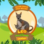 Witness21 Editor  2017 12 13