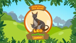 Witness21 Editor  2017 12 13