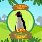 Witness21  2017 12 21