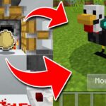 How to TRAIN CHICKENS in Minecraft! (Pocket Edition, Xbox, PC) - Gameplay, Kingdom Kids Zone, Minecraft - EYstreem