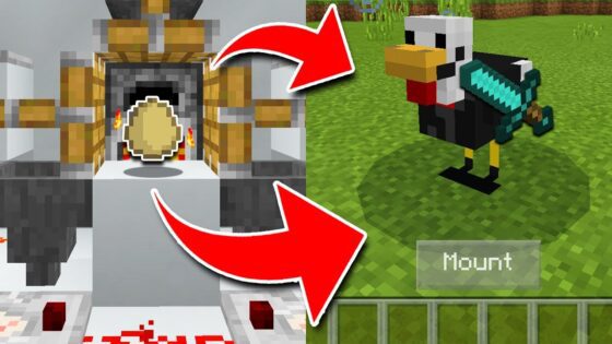 How to TRAIN CHICKENS in Minecraft! (Pocket Edition, Xbox, PC) - Gameplay, Kingdom Kids Zone, Minecraft - EYstreem
