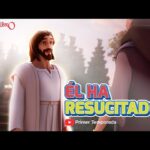 Witness21 Editor  2018 03 07