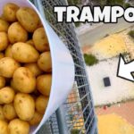 Bucket overflowing with small yellow potatoes held over a railing, with an aerial view of the ground below and the word TRAMPOLINE visible.