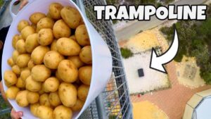 Bucket overflowing with small yellow potatoes held over a railing, with an aerial view of the ground below and the word TRAMPOLINE visible.