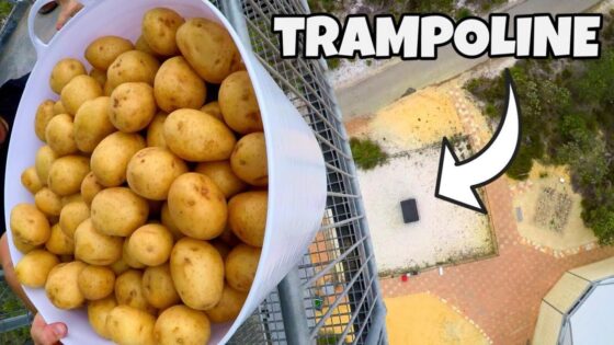 Bucket overflowing with small yellow potatoes held over a railing, with an aerial view of the ground below and the word TRAMPOLINE visible.
